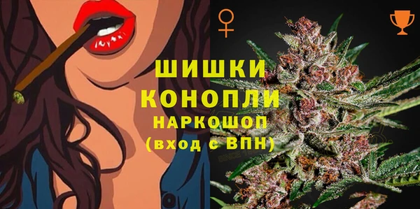 стафф Аркадак