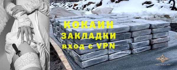 спайс Арсеньев
