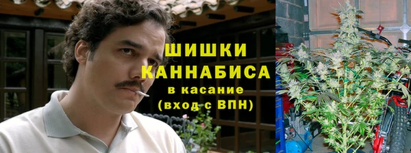 спайс Арсеньев