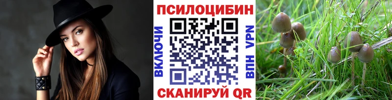 наркота  Теберда  Галлюциногенные грибы ЛСД 