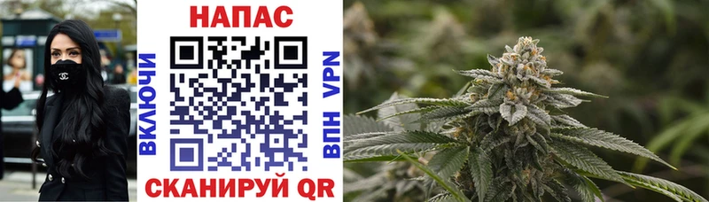 OMG ссылки  дарнет шоп  Теберда  Канабис VHQ 